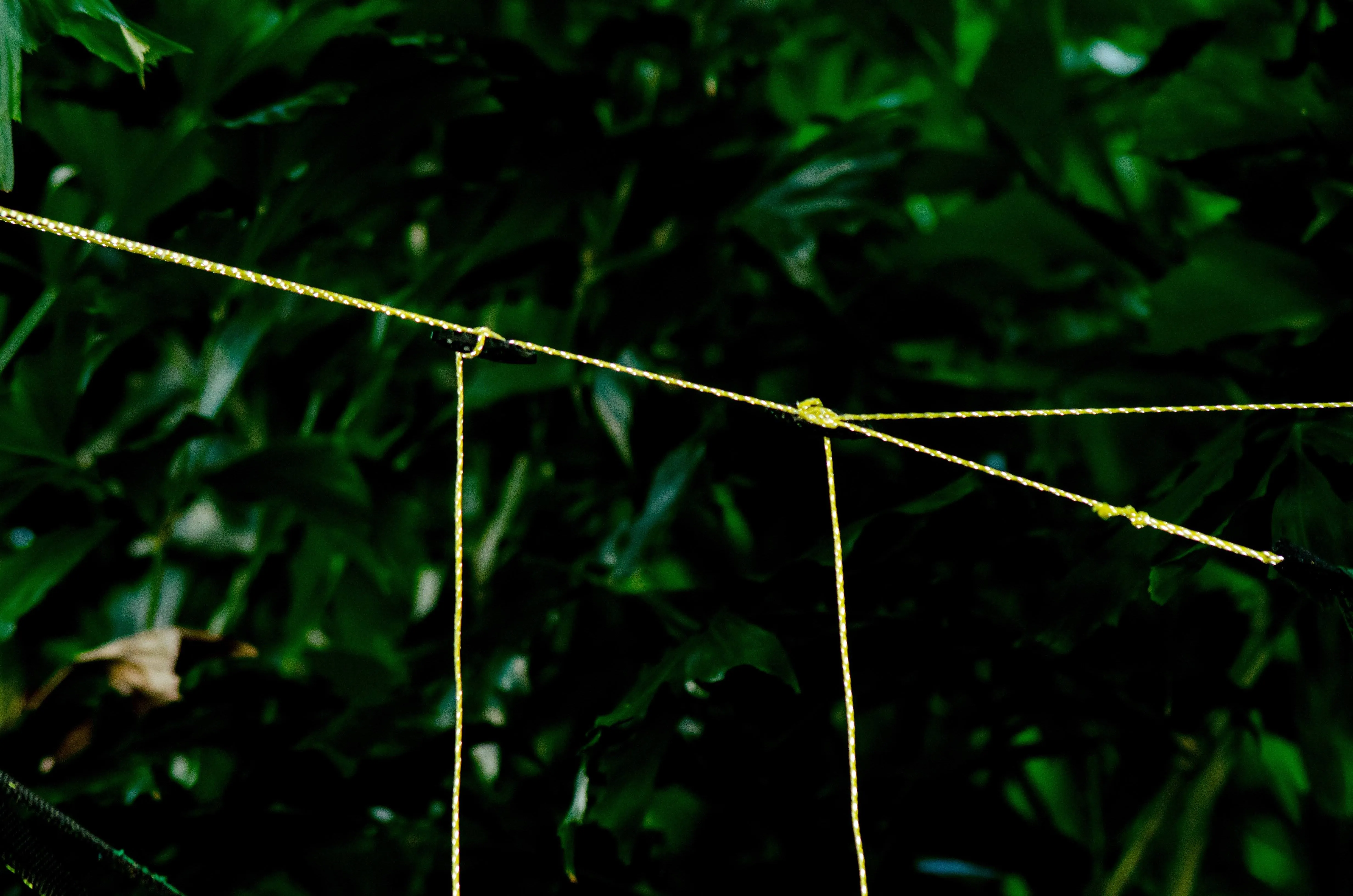 GO! Line | Premium Ultralight Reflective Cord | 100' Roll