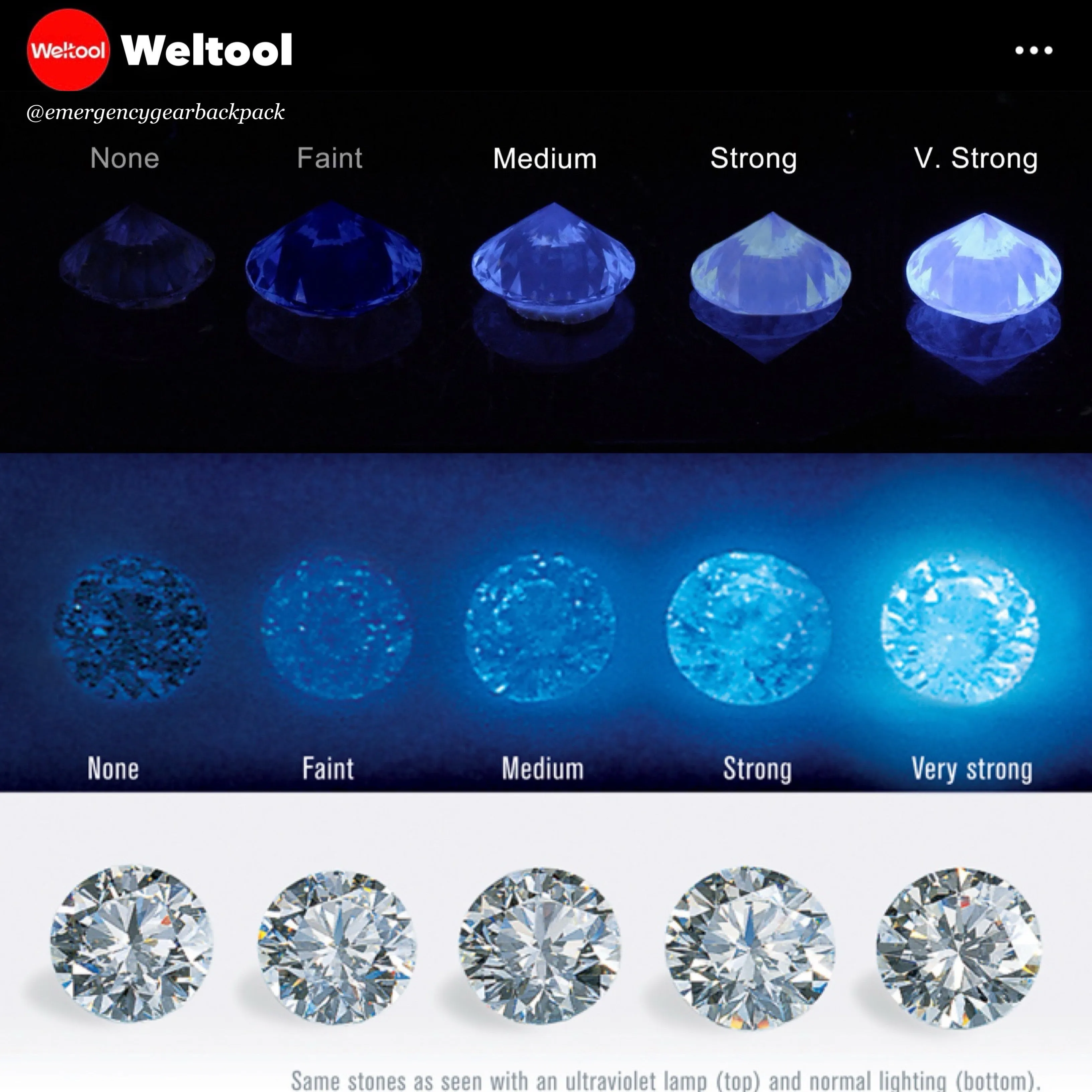 Weltool M2-BF UV 365nm Professional Black Light LED Flashlight